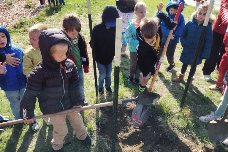 Children planting a tree