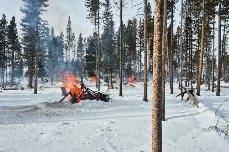 Stacks of wood burn in a snowy Wyoming forest.