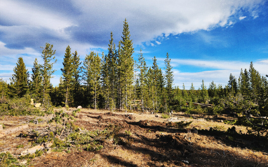 Community Wildfire Defense Grant (CWDG)