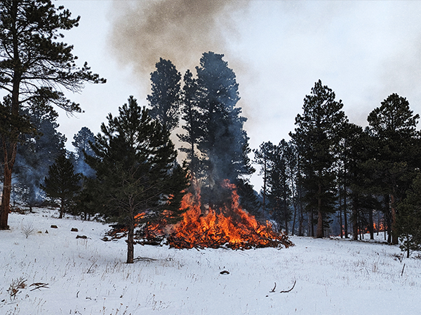 CommunityWildfireProtection A pile of wood on fire in the snow