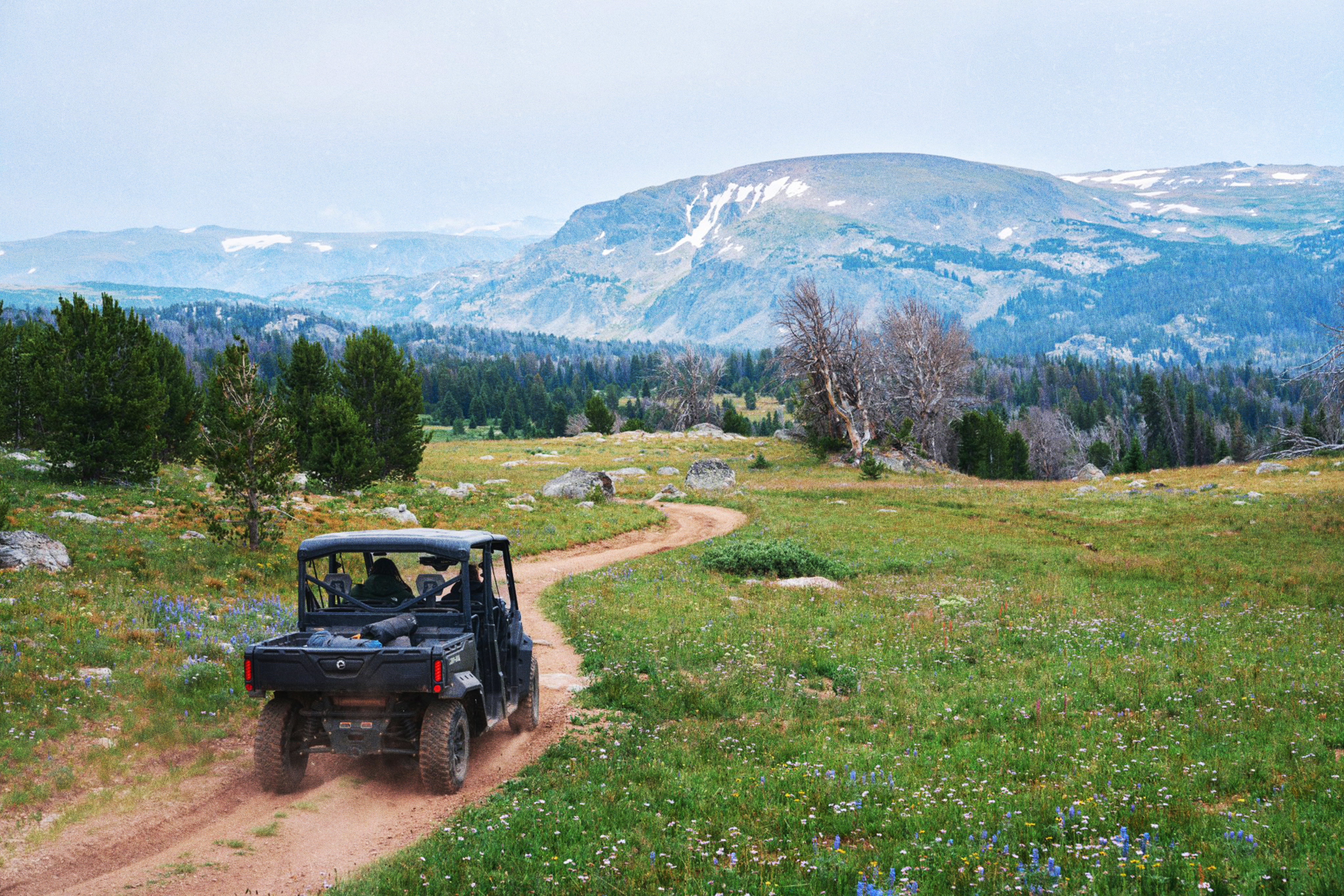 Wyoming State Forestry Division field work
