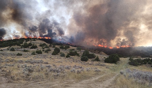 Adaptability A plane flying low dropping fire suppressant