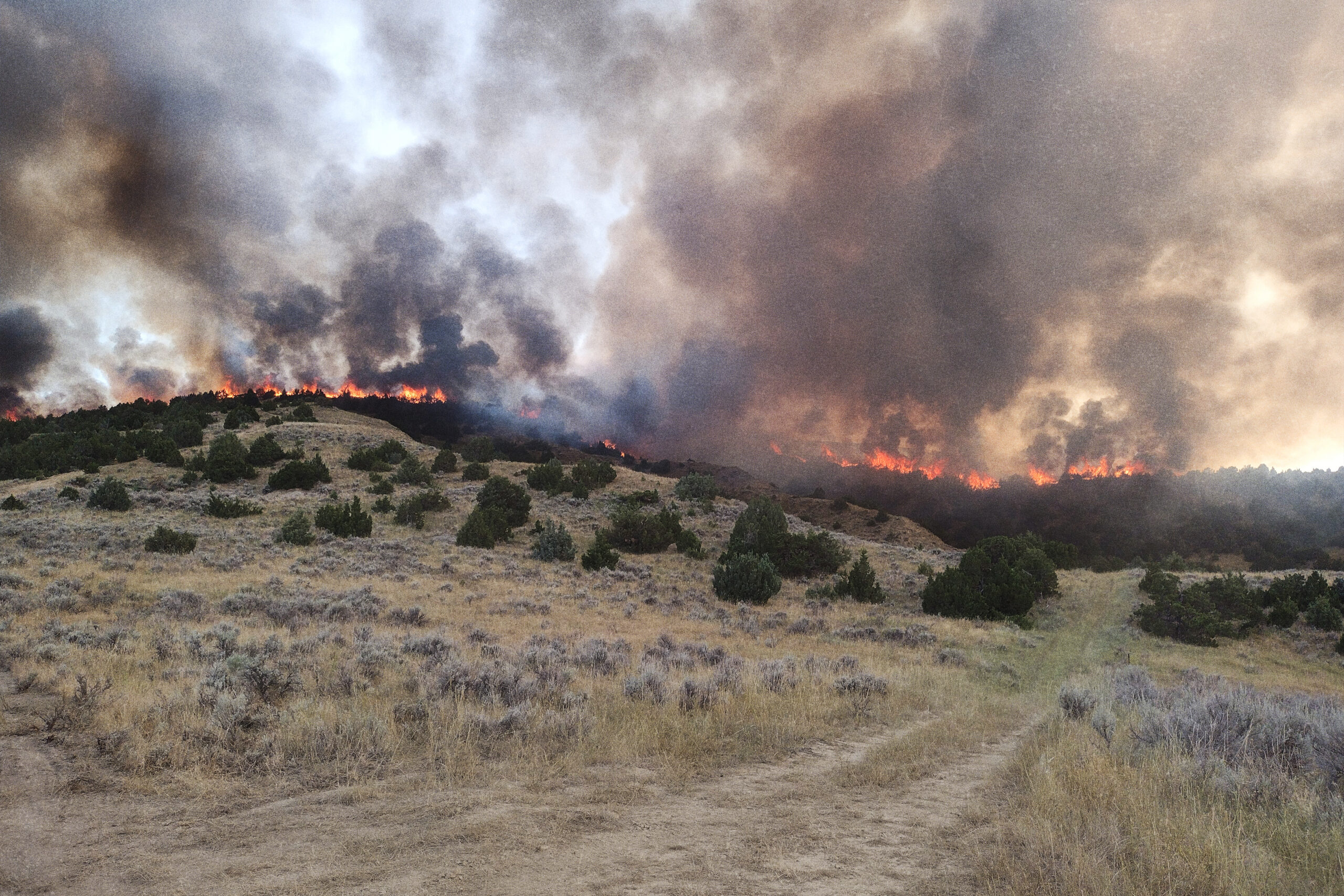 BadgerFire A view of the Badger Fire, with smoke and flames rising into the air.