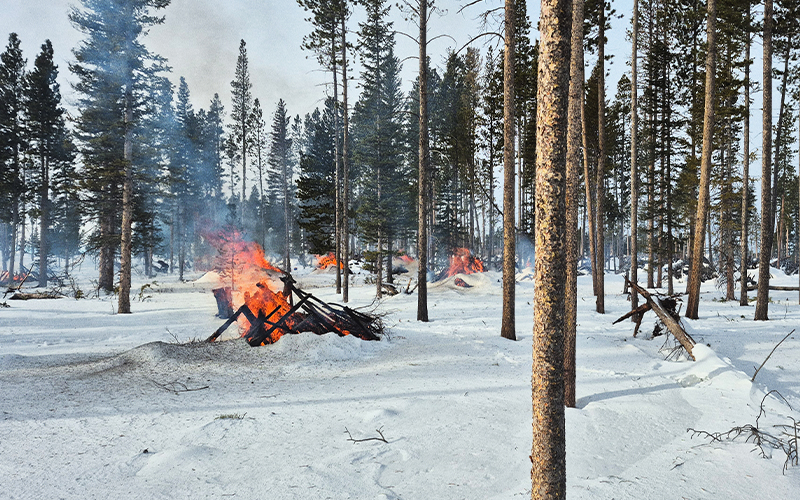 ControlledBurns Fires burn throughout a snow-covered Wyoming forest.