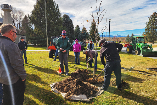 GrantsPrograms A group of men and women add mulch to a newly planted tree.