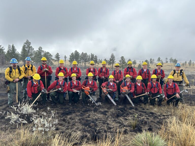 Photograph of Forestry Conservation Program / Newcastle