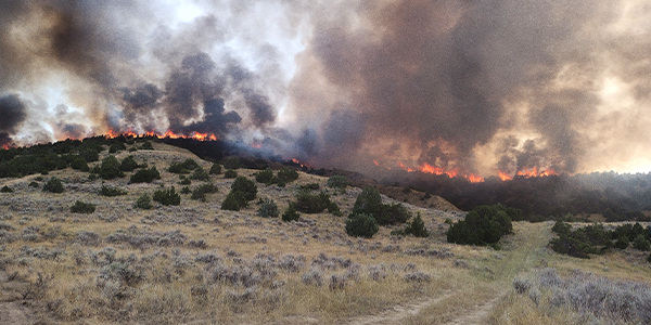 Interactive Fire Map Wildfire on the plains