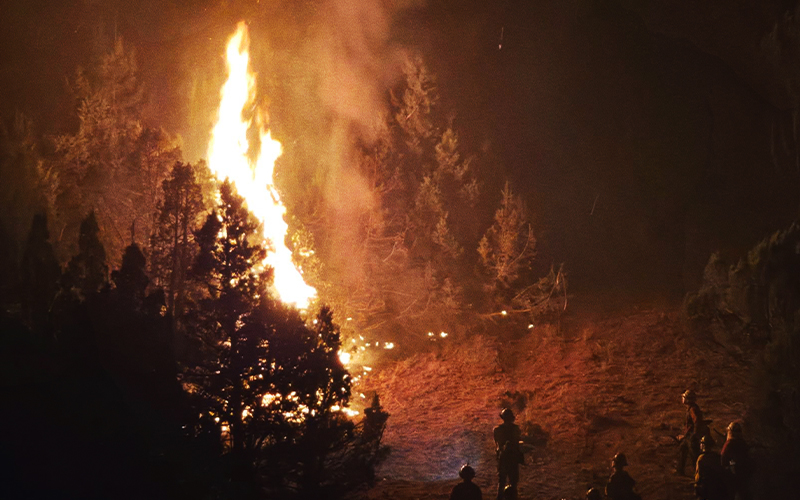 SpringCreek Fire fighters are shown alongside rising flames during a wildfire in Wyoming.